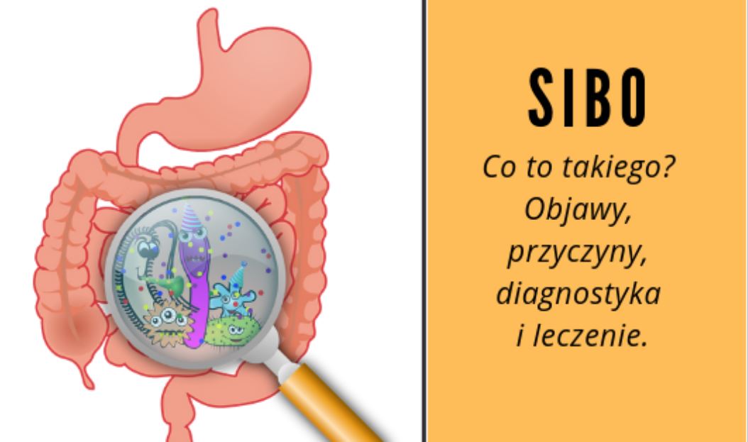 SIBO – zespół przerostu bakteryjnego jelita cienkiego